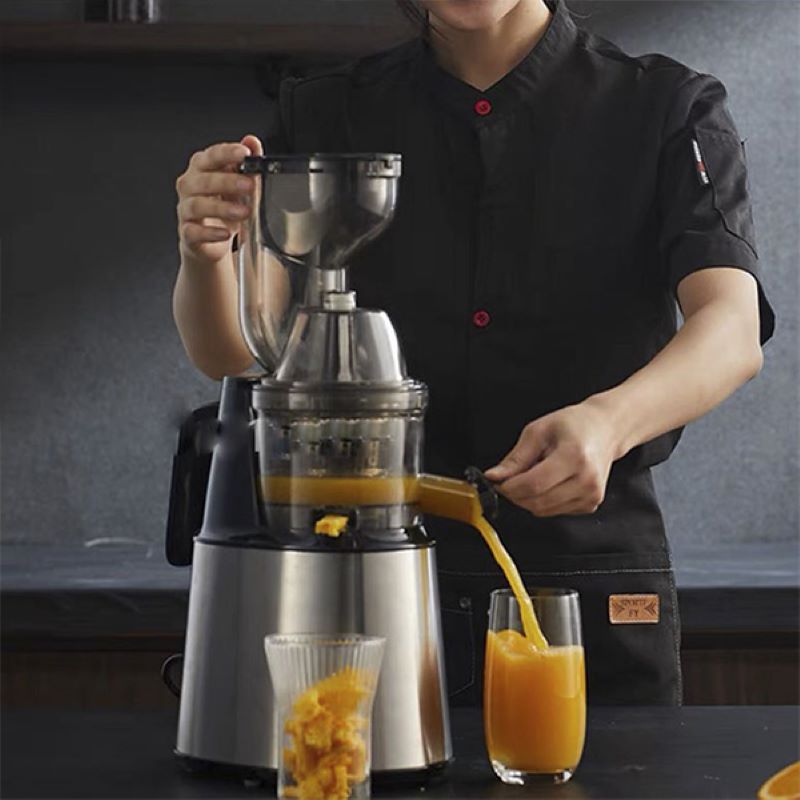 Máy ép chậm hoa quả cao cấp Nineshield KB F10B