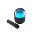 Loa bluetooth karaoke Havit SK894 mini