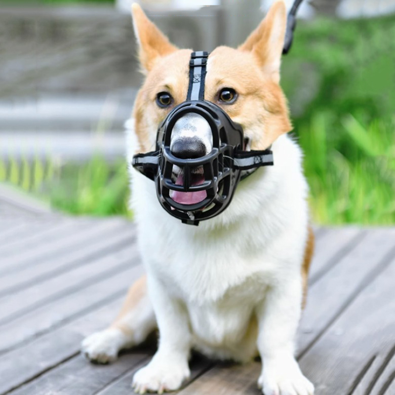 Rọ mõm cho chó bằng silicon có dây phản quang cao cấp