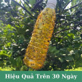 Chai xịt ruồi vàng và côn trùng thế hệ mới 750ml
