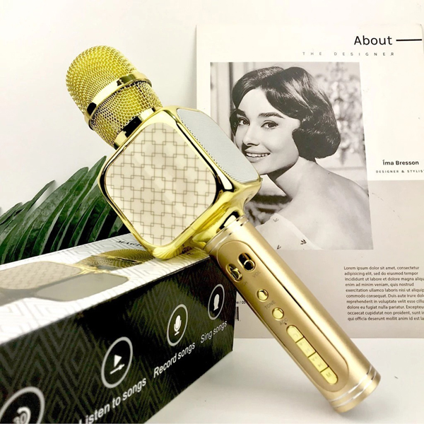 Micro không dây cao cấp hát karaoke kèm loa Bluetooth bass mạnh