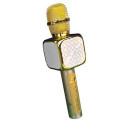 Micro không dây cao cấp hát karaoke kèm loa Bluetooth bass mạnh 