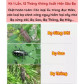 Dung dịch bảo vệ cây trồng diệt sâu đục thân bảo vệ mùa màng hiệu quả 