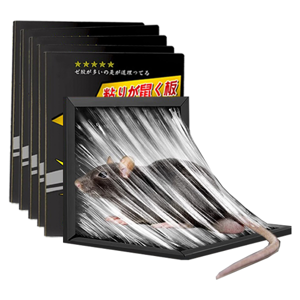 Combo 5 tấm keo bẫy chuột đa năng siêu dính, chống chuột hiệu quả, tiện lợi và tiết kiệm