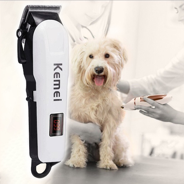 Tông đơ cắt tỉa lông thú cưng cao cấp vận hành êm ái, không gây ồn