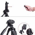 Chân tripod máy ảnh, điện thoại đa năng điều khiển từ xa