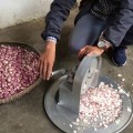 Máy thái hành tỏi, củ quả quay tay có nắp đậy