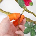 Bọc ngón cái cắt rau củ chống bẩn móng tay cao cấp