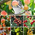 Vợt hái trái cây trên cao kèm túi vải đa năng , Loại 3m