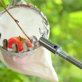 Vợt hái trái cây trên cao kèm túi vải đa năng , Loại 3m