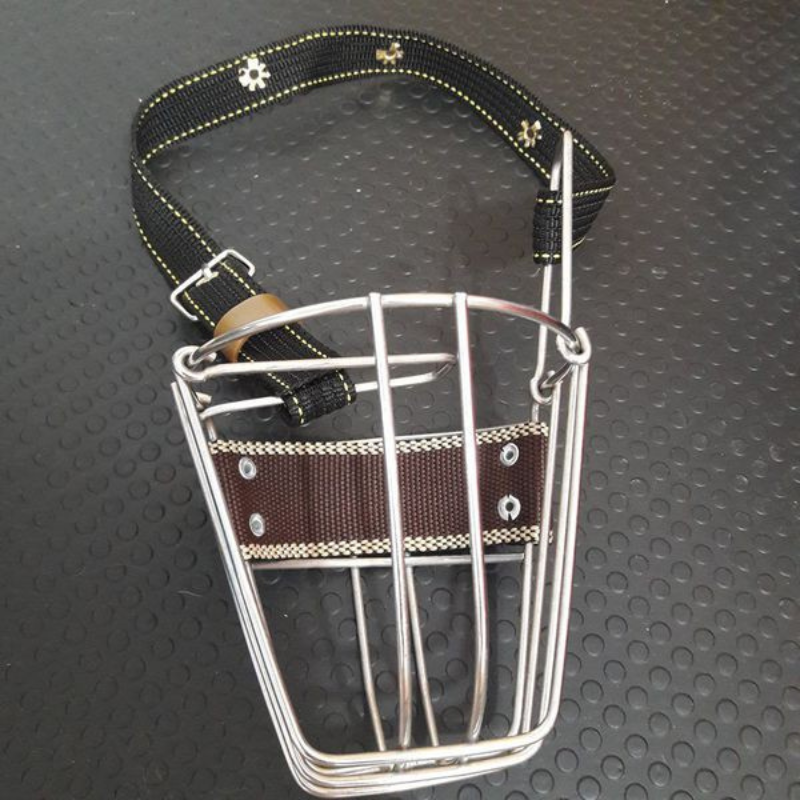 Rõ mõm cho chó chất liệu an toàn chắc chắn, có đai điều chỉnh kích thước