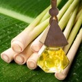 Tinh dầu treo xe hương sả chanh, bạc hà, quế tự nhiên, an toàn