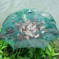 Lồng bắt cá bát quái gấp gọn tiện dụng 