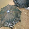Lồng bắt cá bát quái gấp gọn tiện dụng 