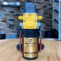 Máy bơm tăng áp phun sương Sinleader 12V nhỏ gọn tiện dụng