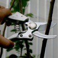 Kéo cắt cành cộng lực siêu bền lưỡi thép SK5