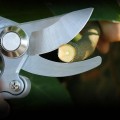 Kéo cắt cành cộng lực siêu bền lưỡi thép SK5