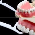 Combo 5 hộp tăm chỉ nha khoa vệ sinh kẽ răng sạch sẽ