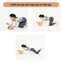 Con lăn tập bụng kết hợp plank có tay cầm tập luyện tại nhà