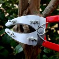 Kéo khoanh vỏ chiết cành kép lưỡi răng cưa