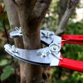  Kéo khoanh vỏ chiết cành kép lưỡi răng cưa
