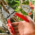  Kéo khoanh vỏ chiết cành kép lưỡi răng cưa