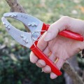  Kéo khoanh vỏ chiết cành kép lưỡi răng cưa