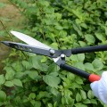 Kéo cắt tỉa cành cây, cây cảnh, hàng rào bền đẹp