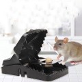 Combo 5 kẹp bẫy chuột răng cưa an toàn hiệu quả
