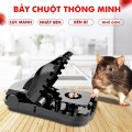 Combo 5 kẹp bẫy chuột răng cưa an toàn hiệu quả