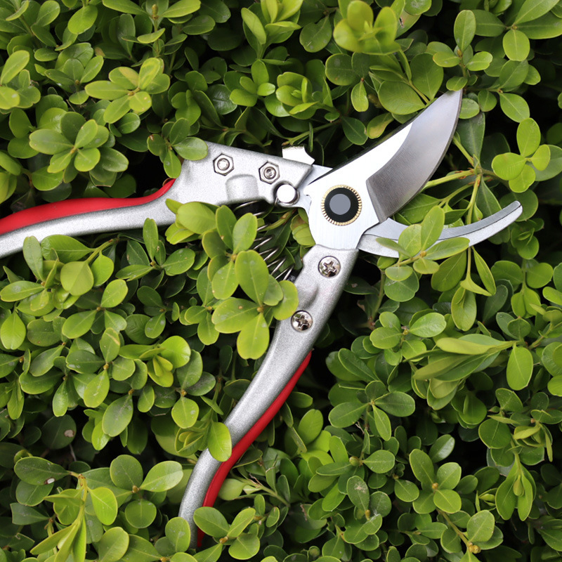 Kéo cắt tỉa cành cây làm vườn chuyên dụng, độ sắc cao siêu bền bỉ